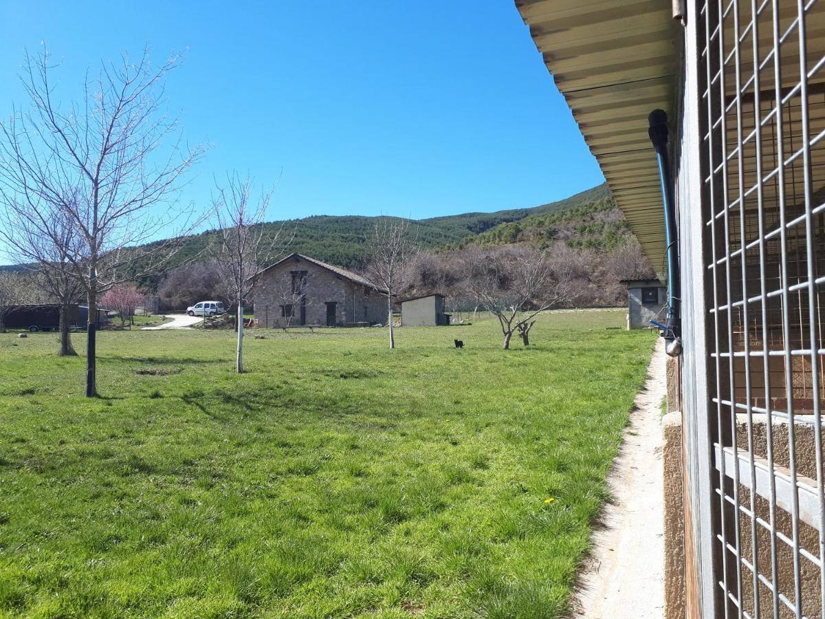 Albergue A'Noguera Castiello de Jaca Zewnętrze zdjęcie