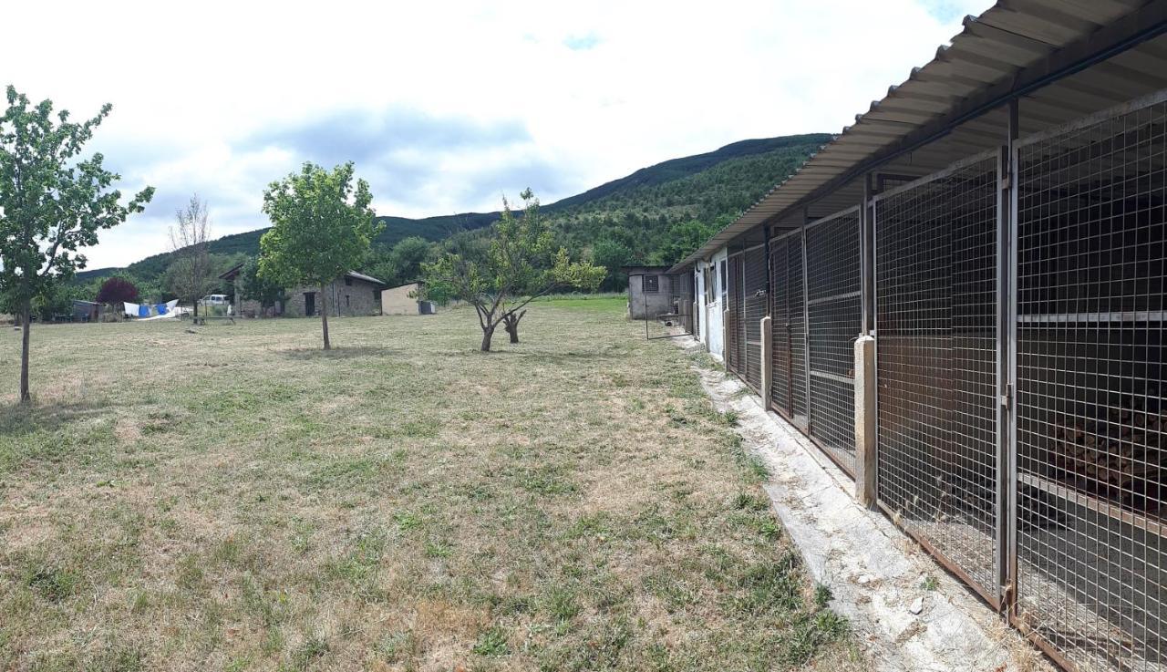 Albergue A'Noguera Castiello de Jaca Zewnętrze zdjęcie